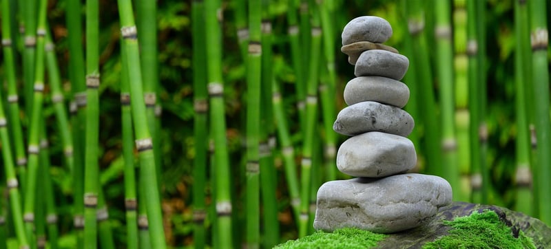 Bamboo Accessories